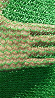 綠色3針工地蓋土網(wǎng) 實(shí)體廠家直銷(xiāo)的高效防塵解決方案